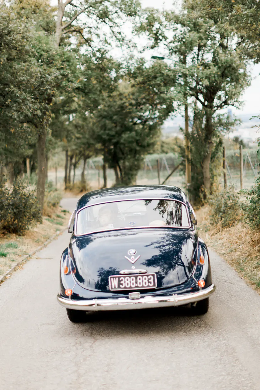 A dark blue vintage BMW is driving away from the camera down a tree-lined road.